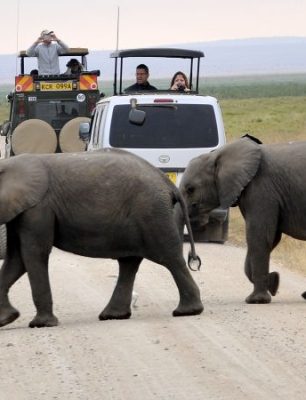 Activities-to-do-in-Amboseli-National-Park-750x450