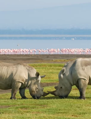 gettyimages-152968161