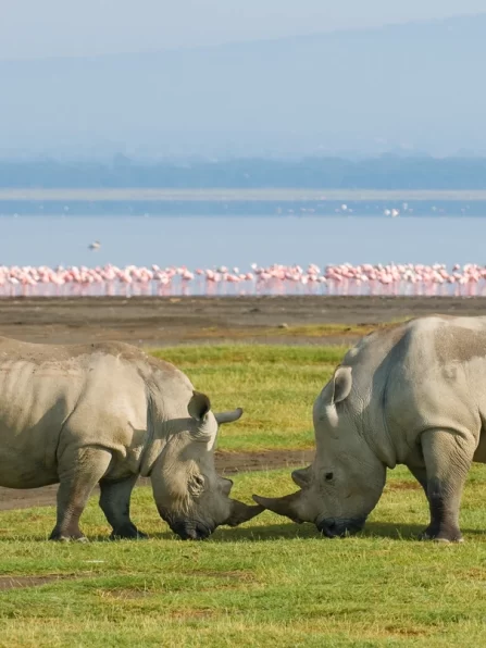 gettyimages-152968161