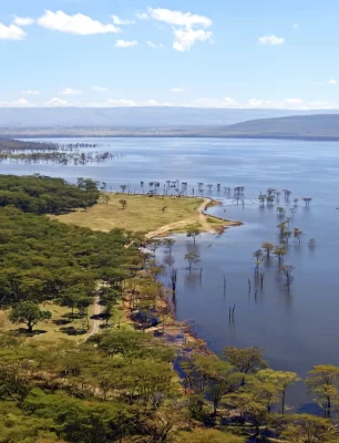 gettyimages-603153650