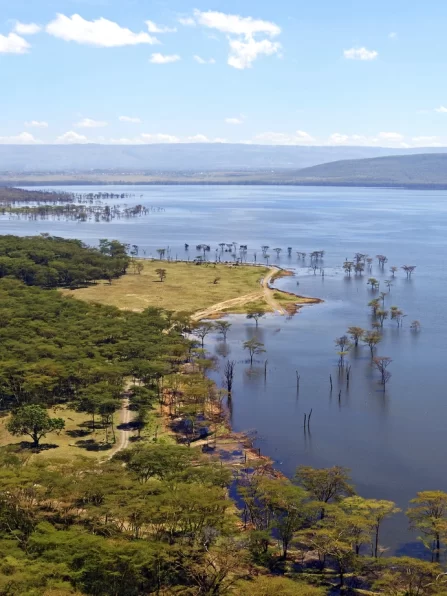 gettyimages-603153650